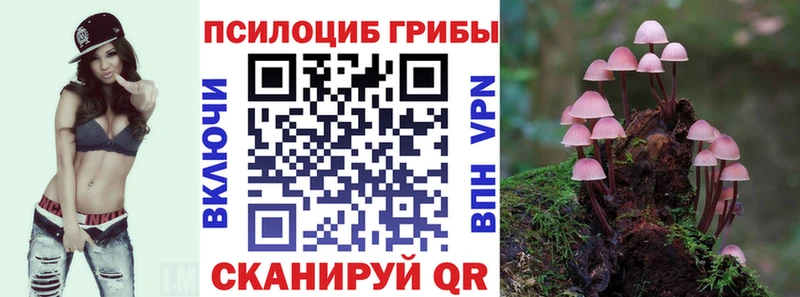 OMG как зайти Райчихинск Галлюциногенные грибы прущие грибы где купить