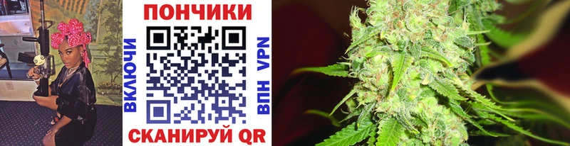 где купить наркотик Райчихинск Каннабис план
